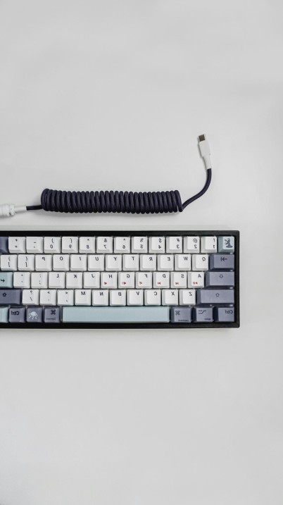 Ecosystème coderiserup